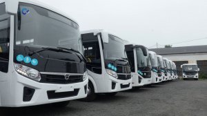11 новых автобусов выйдут на маршруты в Петрозаводске