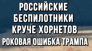 РОССИЙСКИЕ БЕСПИЛОТНИКИ КРУЧЕ ХОРНЕТОВ. РОКОВАЯ ОШИБКА ТРАМПА / ТАМИР ШЕЙХ новости сводки
