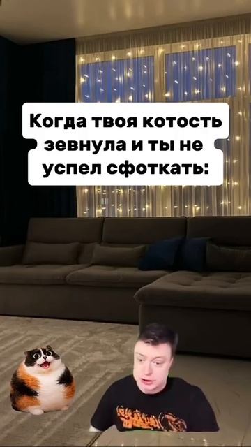 Котость