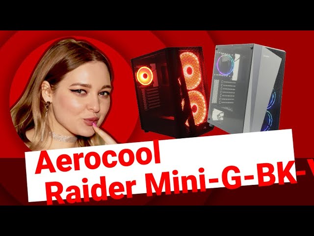 НИКС Компьютерный Супермаркет: видео про Корпус Aerocool Raider Mini-G-BK-V2 Black без БП с окном #1 смотреть онлайн