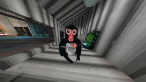 GORILLA TAG : ВОПРОС - ОТВЕТ