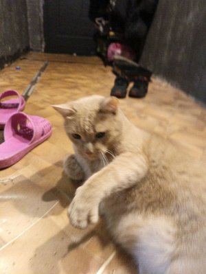 играю в игры 1 час