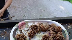 с праздником СЕМЬИ ВЕРНОСТИ И ЛЮБВИ,поздравляет вольный зоопарк