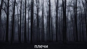 мокрый снег Lizer