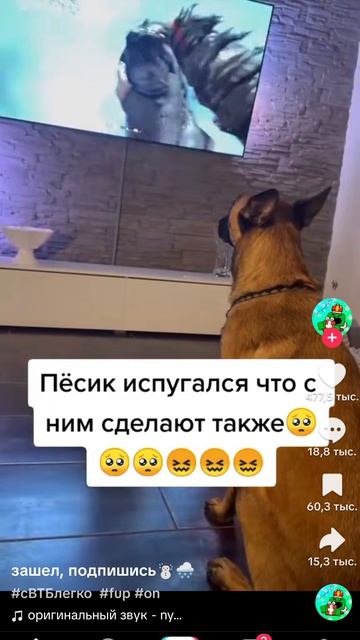 кому его жалко ставьте лайк 😔😔😔😔😔😔 смотреть онлайн