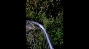 VID_20260709_181506