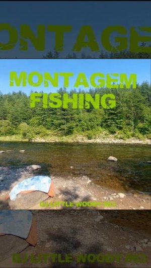 Montagem Fishing