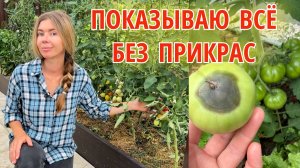 Обзор всех моих томатов на начало июля. Лучшие и худшие сорта