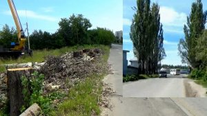 На въезде в Ефимьево в городе Вязники уничтожили тополиную аллею