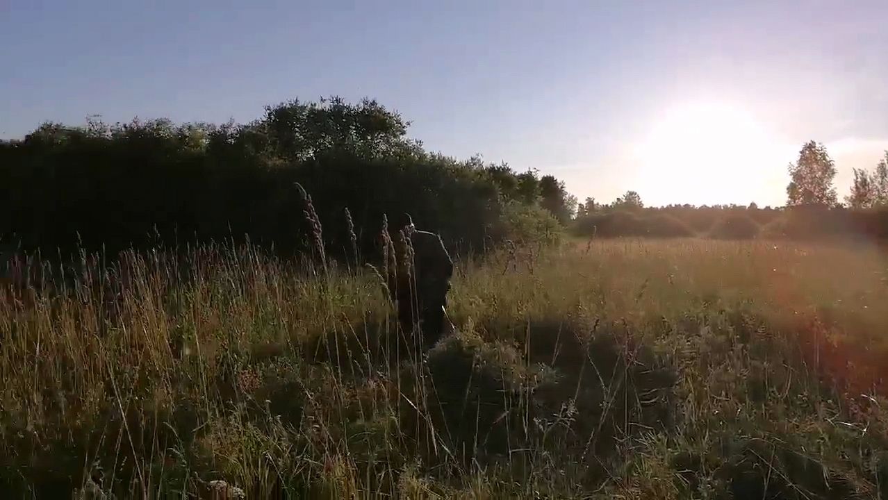 Видео привет от мамы 9 июля снова в поле за травой для бычка!