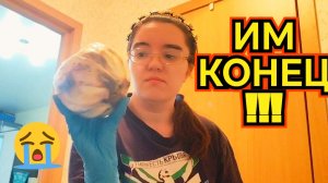 Тотальная зачистка холодильника!