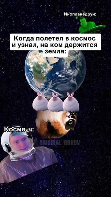 Котость
