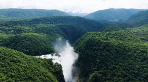 Cамая красивая музыка🌿 поможет вам снять усталость от стресса🌿 успокаивает нервную систему
