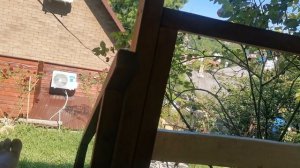 СОЧИ ГОРНОЕ ЛОО ВЕЧЕР 09.07.2026