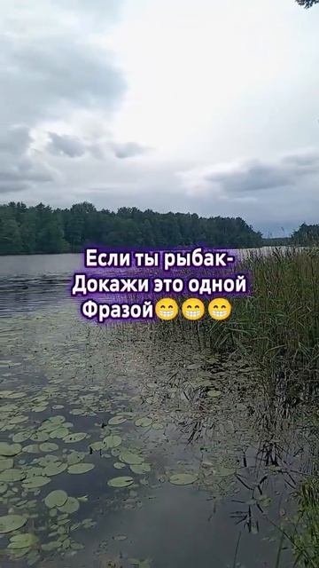 Природа,рыбалка,отдых.🎣🛶