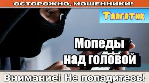 Мошенники звонят по телефону / Банально-Анально ( сборник ).