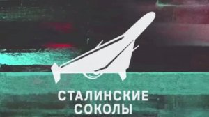 Обзор на «Подсумок для жгута-турникета «Ермак Микро»