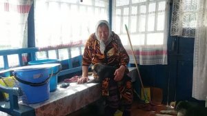 Привезли щенка Золотушке