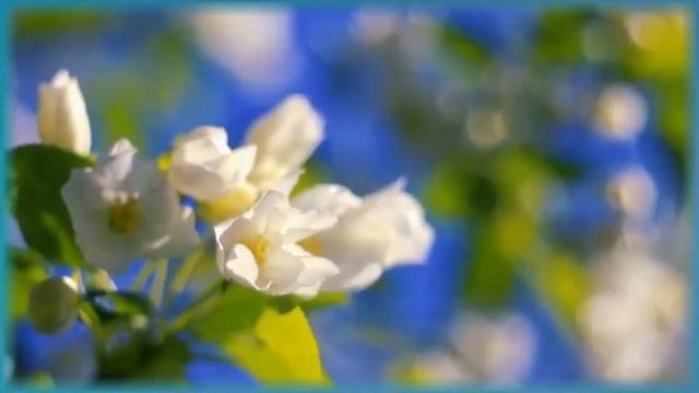 С первым днем ВЕСНЫ, друзья!!!."Doucement, doucement..." (Нежно, нежно...) Д.А.Хворостовский. смотреть онлайн