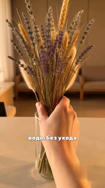 Сухоцветы в премиум-автосервисе — декор зоны ожидания без ухода