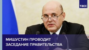 Мишустин проводит заседание правительства