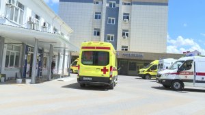 На консультации у эпидемиолога: главные угрозы леса и защита от опасного вируса бешенства