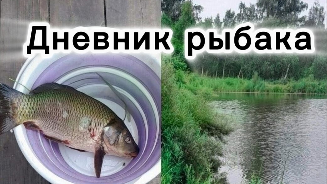 Дневник рыбака: Плотниково, отчёт за 2025 год смотреть онлайн