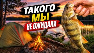 ОТДЫХ НА СЕКРЕТНОМ ОЗЕРЕ. ОКУНЬ НА КАЖДОМ ЗАБРОСЕ