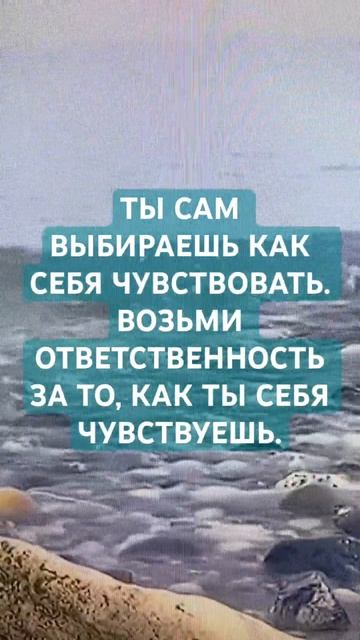 ТЫ САМ РЕШАЕШЬ