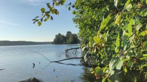 Рыбалка в нижегородской области в районе васильсурска с собакой. ЧМ по футболу на рыбалке