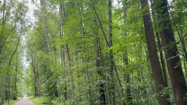 Удивительный парк ч.1 смотреть онлайн