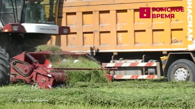 Жаркая погода стала испытание для сельского хозяйства региона