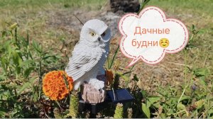 Уютный дачный влог🏡