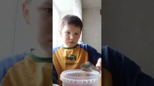 4 день как я делаю вирус