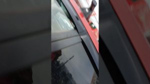 сборы на прогулку