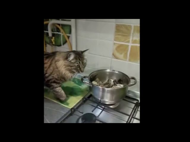 Подозрительная личность смотреть онлайн