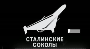 Обзор на «Модуль защиты паха четерехсекционный «Клевер»