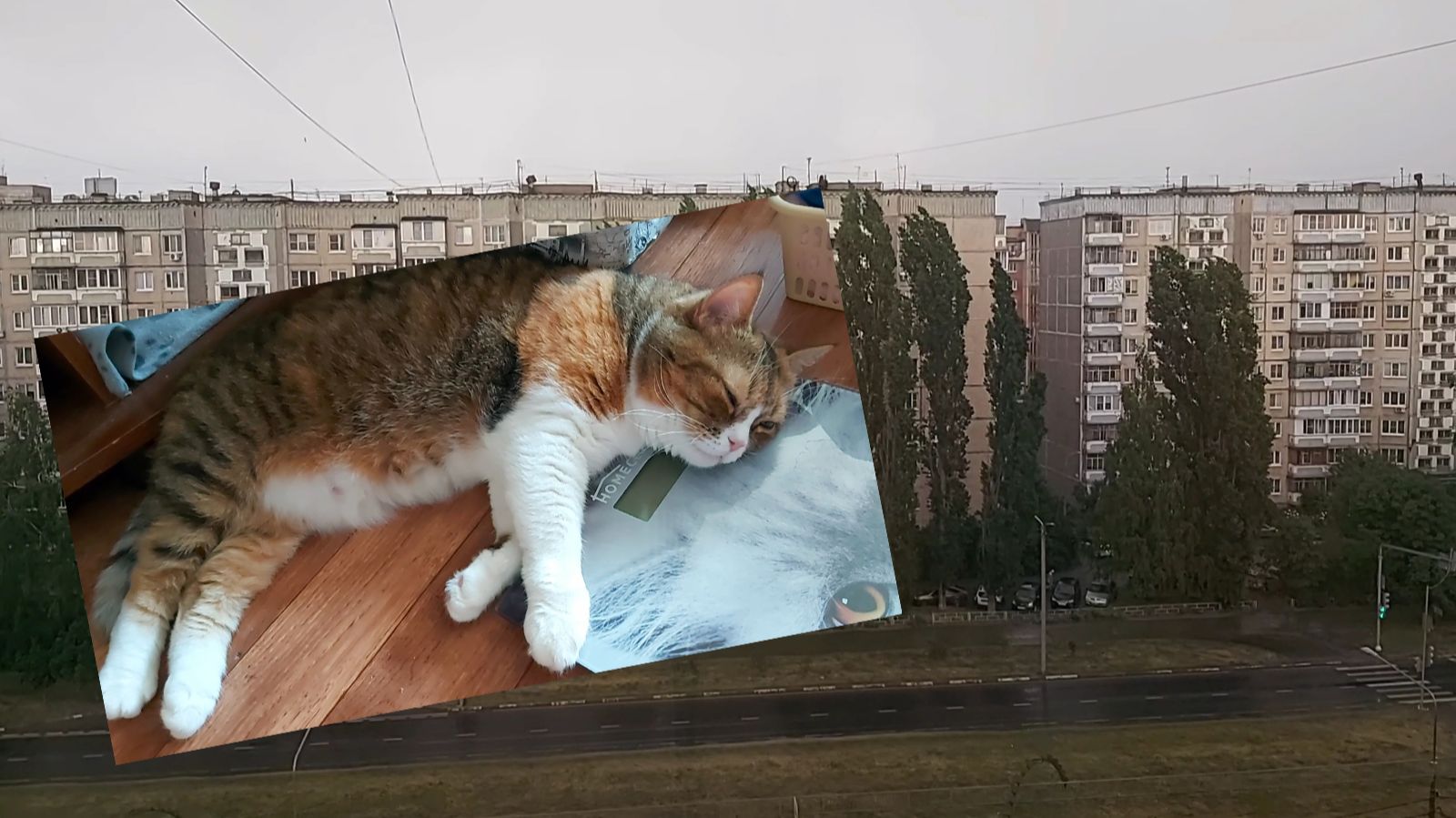 Большая болталка))) Гуляю по городу. Дожди пришли))) смотреть онлайн