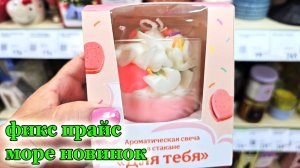 Море новинок.Фикс прайс.Быстро уйти не получится