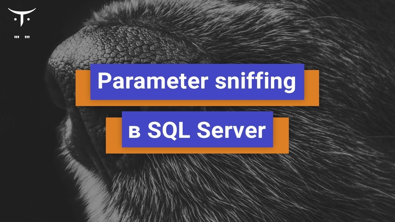 Parameter sniffing в SQL Server что это и почему возникает // Курса «MS SQL Server Developer» смотреть онлайн