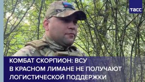 Комбат Скорпион: ВСУ в Красном Лимане не получают логистической поддержки