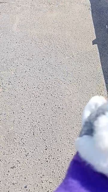Погода про погоду