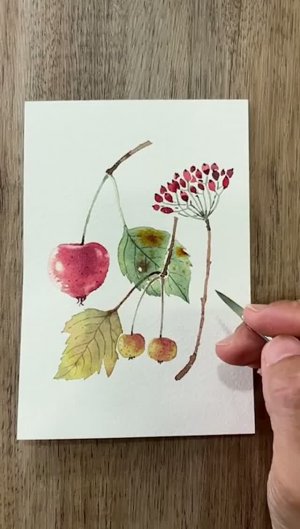 Рисование милых осенних ягод акварелью