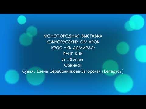 Моно ЮРО 21.08.2022 Сука. Класс Чемпионов НКП. смотреть онлайн