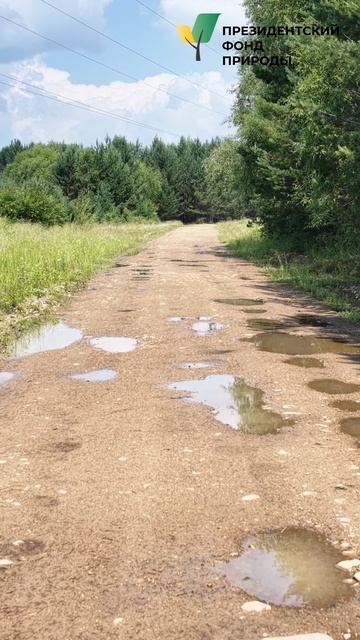 Седьмой полет в рамках проекта 