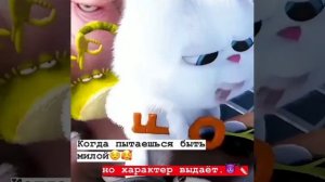 Цыганские приколы😂