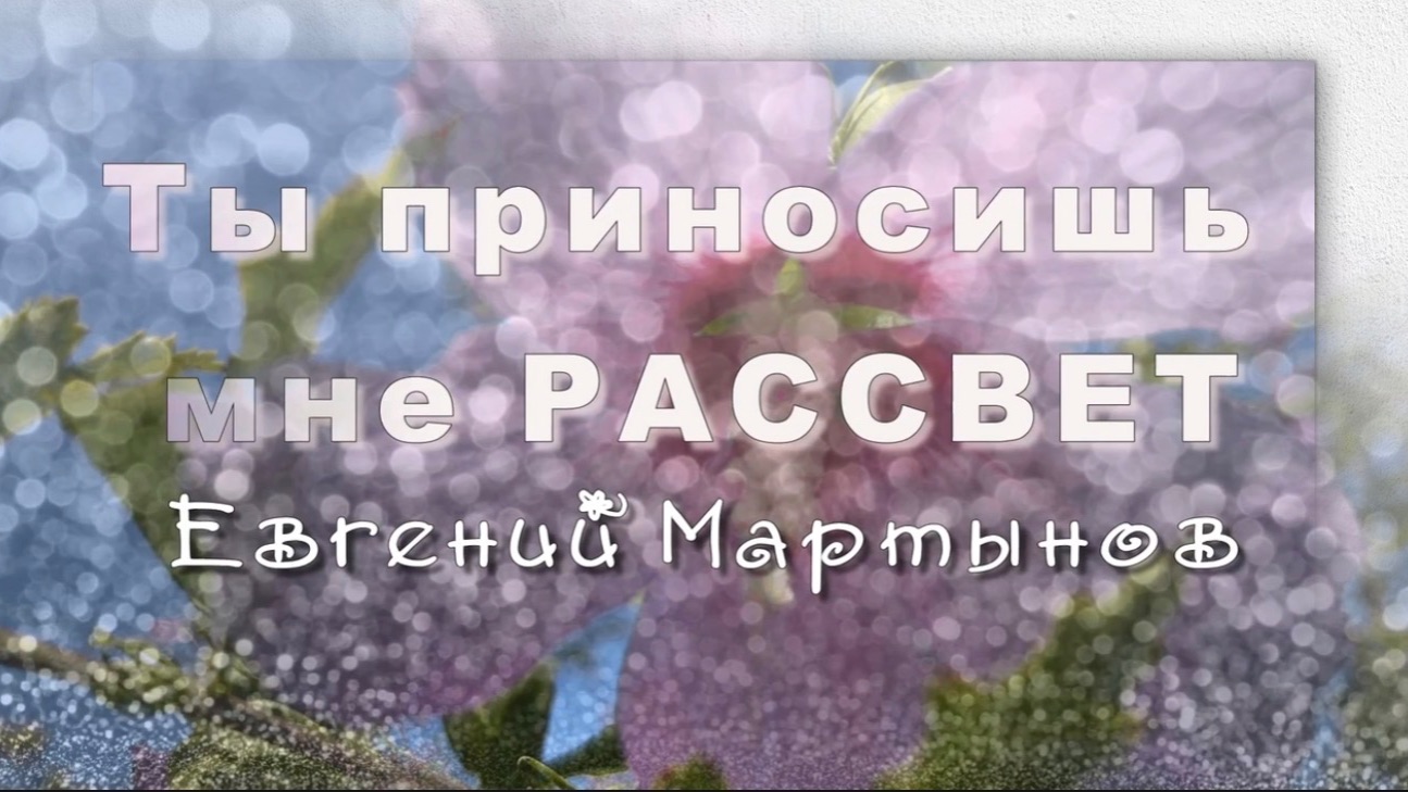 Песни
