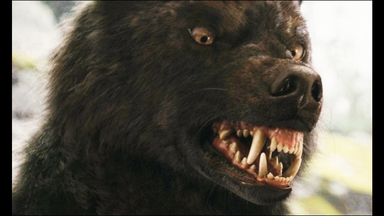 10 ЖИВОТНЫХ КОТОРЫЕ УБИЛИ СВОИХ ХОЗЯЕВ смотреть онлайн