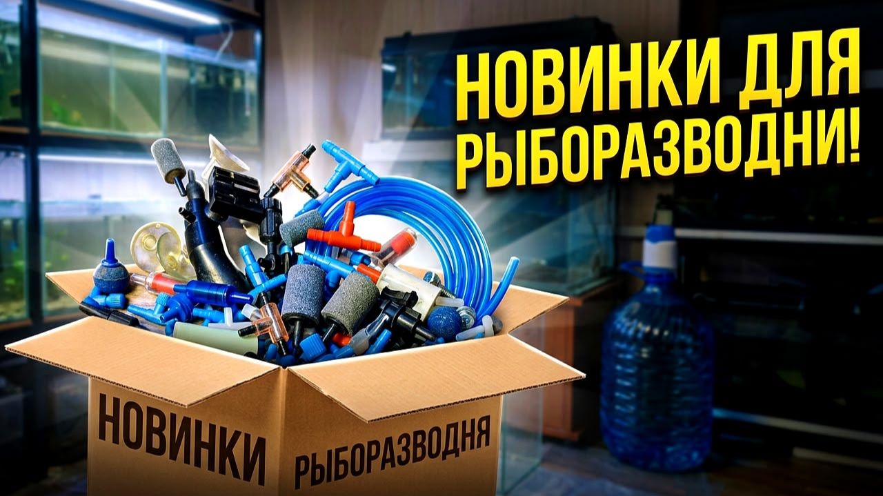 Новинки на домашней рыборазводне! Новые аквариумы, оборудование и всякие мелочи! смотреть онлайн
