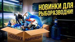 Новинки на домашней рыборазводне! Новые аквариумы, оборудование и всякие мелочи!